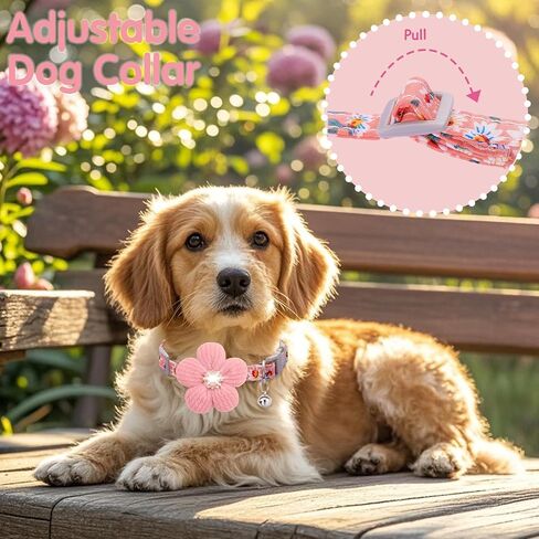 Small Dog Collar with Flower, Puppy Collar for Girl Dog Collars for Small Dogs Cute Dog Collar with Bell, Adjustable Length in Kuwait
