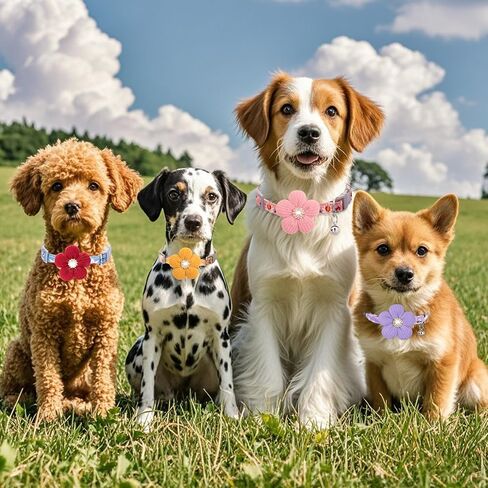 Small Dog Collar with Flower, Puppy Collar for Girl Dog Collars for Small Dogs Cute Dog Collar with Bell, Adjustable Length in Kuwait