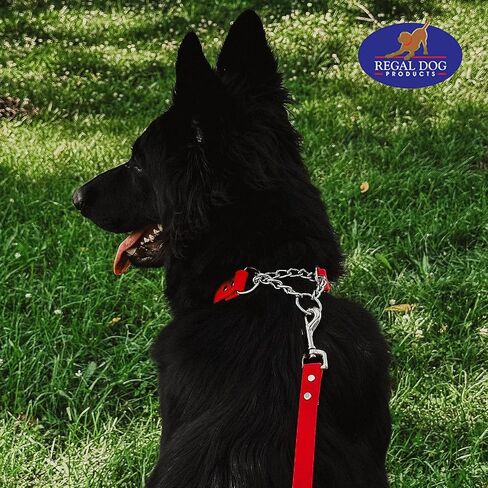 منتجات Regal Dog Products طوق مارتينجال أزرق متوسط ​​للكلاب - أطواق للكلاب مخصصة - طوق كلب منقوش مخصص مع الاسم - نايلون متين مع إبزيم آمن - متوفر بالحجم الصغير والكبير in Kuwait