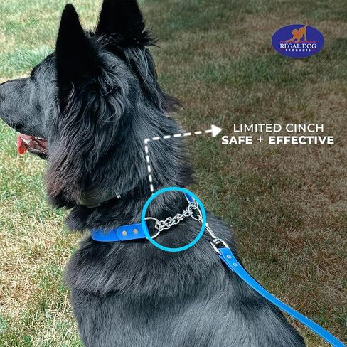 منتجات Regal Dog Products طوق مارتينجال أزرق متوسط ​​للكلاب - أطواق للكلاب مخصصة - طوق كلب منقوش مخصص مع الاسم - نايلون متين مع إبزيم آمن - متوفر بالحجم الصغير والكبير in Kuwait