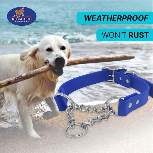 منتجات Regal Dog Products طوق مارتينجال أزرق متوسط ​​للكلاب - أطواق للكلاب مخصصة - طوق كلب منقوش مخصص مع الاسم - نايلون متين مع إبزيم آمن - متوفر بالحجم الصغير والكبير in Kuwait