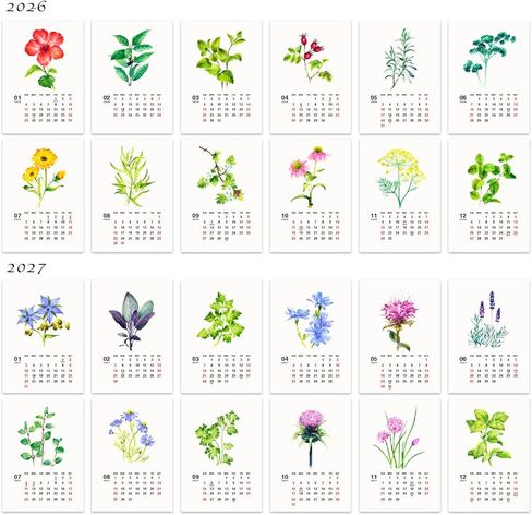 Floral Art 2026 2027 Mini Desk Calendar, Botanical Watercolor Painting 24 Flowers Christmas Gift for Woman 9.4 x 14 cm in Kuwait