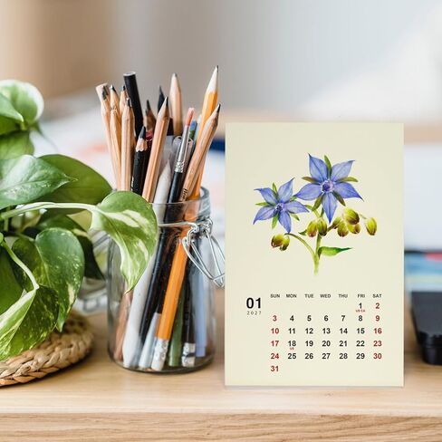 Floral Art 2026 2027 Mini Desk Calendar, Botanical Watercolor Painting 24 Flowers Christmas Gift for Woman 9.4 x 14 cm in Kuwait