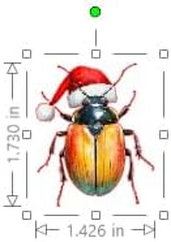 30 Handmade Christmas Insects Stickers Glossy Stickers for Journals, Scrapbooks, Laptops & Crafts in Saudi Arabia