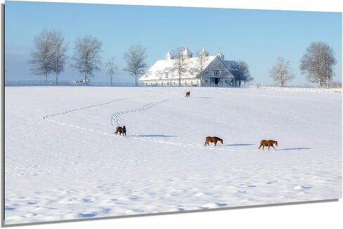 Winter Calm at Manchester Farm - Lexington Horse Farm Fine Art Print 1 in Saudi Arabia