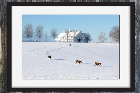 Winter Calm at Manchester Farm - Lexington Horse Farm Fine Art Print 1 in Saudi Arabia