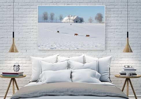Winter Calm at Manchester Farm - Lexington Horse Farm Fine Art Print 1 in Saudi Arabia