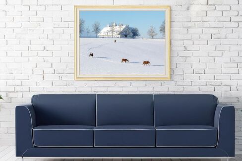 Winter Calm at Manchester Farm - Lexington Horse Farm Fine Art Print 1 in Saudi Arabia