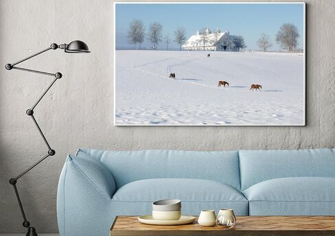 Winter Calm at Manchester Farm - Lexington Horse Farm Fine Art Print 1 in Saudi Arabia