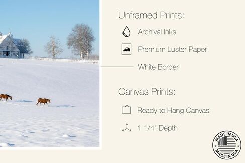 Winter Calm at Manchester Farm - Lexington Horse Farm Fine Art Print 1 in Saudi Arabia