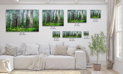 Redwood Trees Forest Picture Nature Photo, Forest Bathing for Tree and Nature Lovers, Relaxing Artwork for Meditation, House Decor & Office (Metal, 8x10 inches) in Kuwait