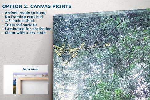 Redwood Trees Forest Picture Nature Photo, Forest Bathing for Tree and Nature Lovers, Relaxing Artwork for Meditation, House Decor & Office (Metal, 8x10 inches) in Kuwait