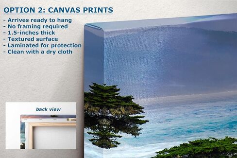 Lone Cypress Monterey Bay California Coastline Ocean Picture Nature Photo Relaxation Artwork for Meditation, Office, Dorm, House Decor (Canvas Print, 24x36 inches) in Saudi Arabia