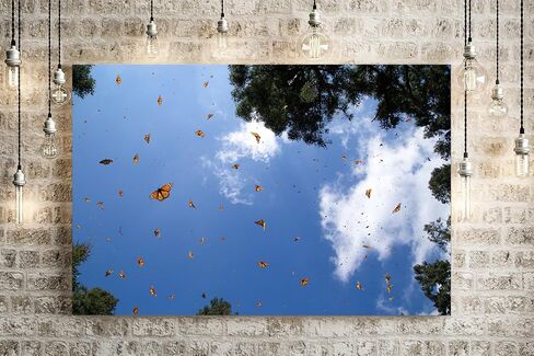Monarch Butterfly Sanctuary Fine Art Print in Saudi Arabia