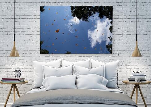 Monarch Butterfly Sanctuary Fine Art Print in Saudi Arabia