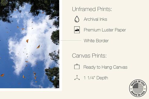Monarch Butterfly Sanctuary Fine Art Print in Saudi Arabia