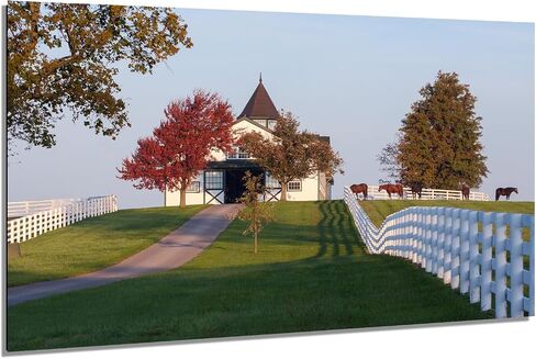 Morning Light at Dixiana Domino Farm – Lexington Horse Country Fine Art Print in Saudi Arabia
