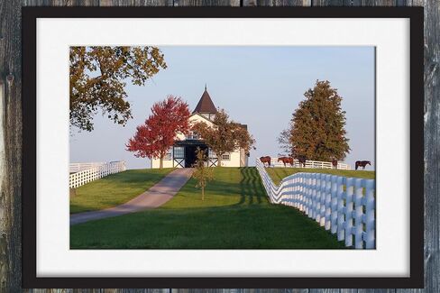 Morning Light at Dixiana Domino Farm – Lexington Horse Country Fine Art Print in Saudi Arabia