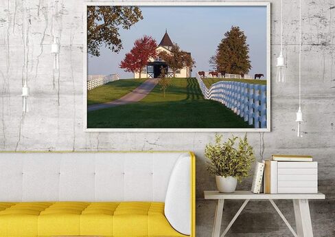 Morning Light at Dixiana Domino Farm – Lexington Horse Country Fine Art Print in Saudi Arabia