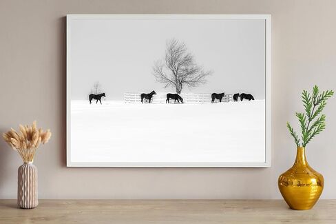 Morning Light at Dixiana Domino Farm – Lexington Horse Country Fine Art Print in Saudi Arabia