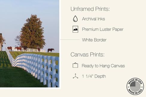 Morning Light at Dixiana Domino Farm – Lexington Horse Country Fine Art Print in Saudi Arabia