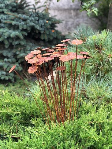 Rusty flowers set of 40, Flowers garden decor, Metal garden decor, metal yard art, outdoor metal decor, Rusty metal garden decor in Saudi Arabia