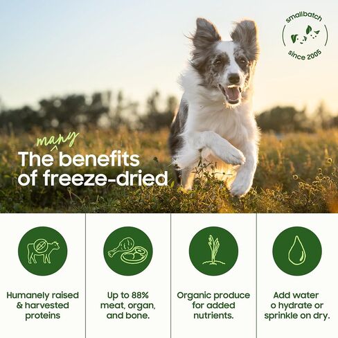 smallbatch Freeze-Dried Beef Dog Food – Grain Free, Organic Produce – Raw Dehydrated Beef Small Bites, High Protein Complete Meal or Topper – Humanely Raised, Made in USA, 7oz in Saudi Arabia