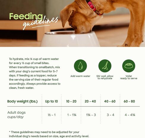 smallbatch Freeze-Dried Beef Dog Food – Grain Free, Organic Produce – Raw Dehydrated Beef Small Bites, High Protein Complete Meal or Topper – Humanely Raised, Made in USA, 7oz in Saudi Arabia