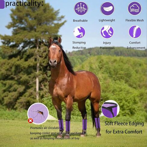 مجموعة من 4 أحذية حماية شبكية قابلة للتنفس من Horse Fly، طماق مريحة للحصان، تصميم شبكي مسامي، مستلزمات الخيول لتقليل الدوس وتعب الساق (أرجواني) in Saudi Arabia