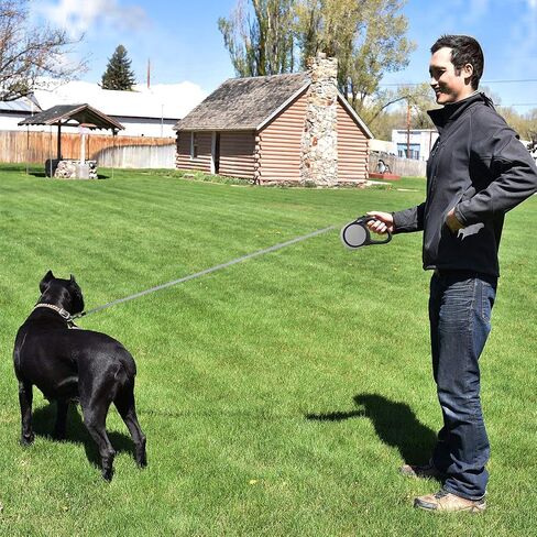Heavy Duty Retractable Dog Leash-16ft Strong & Durable Walking Leash for S to L Dogs up to 45/115 lbs, Upgraded Lock System, Non Slip Grip, Tangle Free (Purple, Small/Medium) in Saudi Arabia