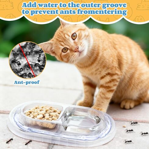 30 Pcs Disposable Cat Bowls with Ant Proof Moats - No Spill Double Bowl Tray for Stray & Outdoor Cats, Travel & Feeding - 30 Day Supply in Saudi Arabia
