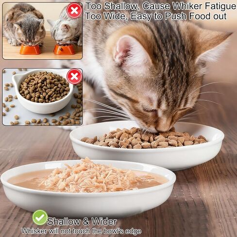 3 Pack Cat Food Bowl Ceramic Cat Bowls for Indoor Cats Plates Anti Whisker Fatigue Bowl Set，5.9 inch Wide Shallow Ceramic Cats Dishes for Food and Water (Cat's Paw+Fishbone) in Saudi Arabia