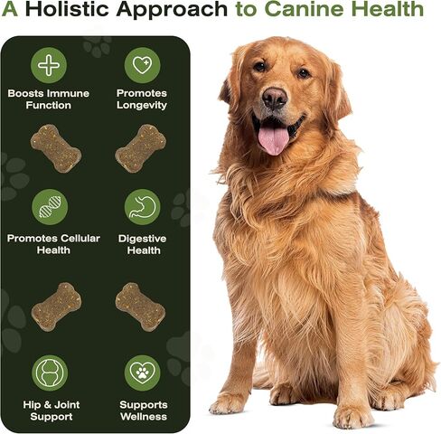 مضغ الكلب البيطري لدعم مناعة الحمض النووي، وحساسية الكلاب ومضغ المناعة + مكمل الورك والمفاصل للكلاب، فطر ذيل الديك الرومي العضوي، الكركم، عشب الشعير، نكهة كبد الدجاج (30 قطعة) in Kuwait