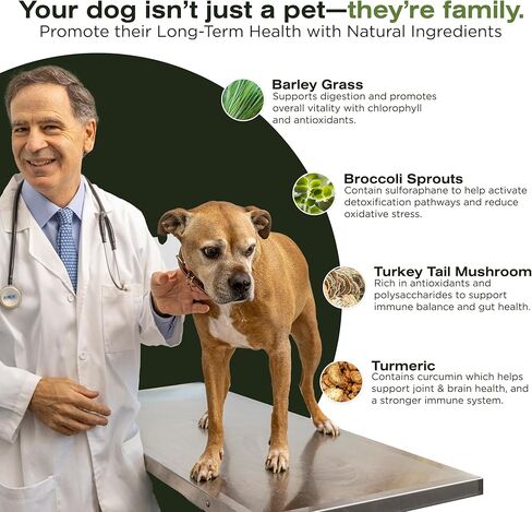 مضغ الكلب البيطري لدعم مناعة الحمض النووي، وحساسية الكلاب ومضغ المناعة + مكمل الورك والمفاصل للكلاب، فطر ذيل الديك الرومي العضوي، الكركم، عشب الشعير، نكهة كبد الدجاج (30 قطعة) in Kuwait