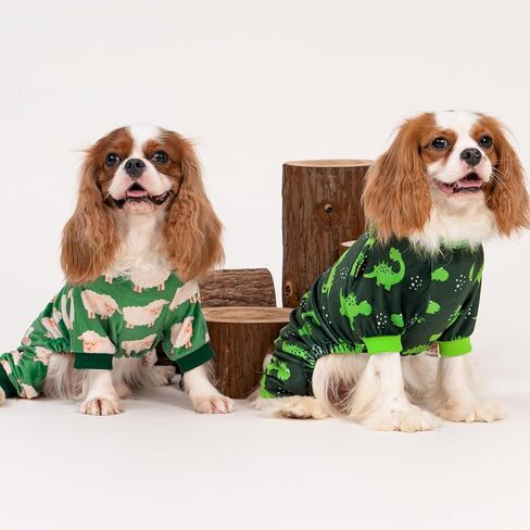 Fitwarm Dinosaur Dog Fleece Pajamas, Warm Clothes for Small Dogs Boy, Cozy Pet Onesie with Feet, Dark Green, Bright Green, Large in Saudi Arabia