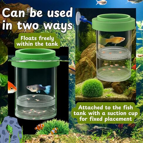 Betta Guppy Breeding Box for Fish Tank and Artificial Plants, Floating Guppy Breeding Box with Suction Cups, Acrylic Breeder Isolation Incubator for Aquarium Tank, Hatchery Breeder Chamber (Green, M) in Saudi Arabia