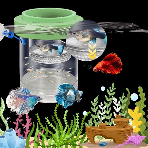 Betta Guppy Breeding Box for Fish Tank and Artificial Plants, Floating Guppy Breeding Box with Suction Cups, Acrylic Breeder Isolation Incubator for Aquarium Tank, Hatchery Breeder Chamber (Green, M) in Saudi Arabia