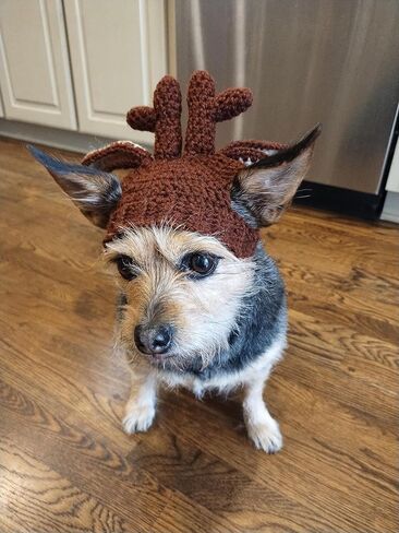 Crochet Reindeer Dog Hat with Braids for Christimas (M 14-16 inches) in Saudi Arabia