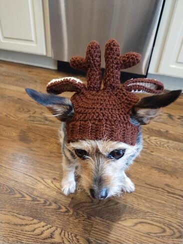 Crochet Reindeer Dog Hat with Braids for Christimas (M 14-16 inches) in Saudi Arabia