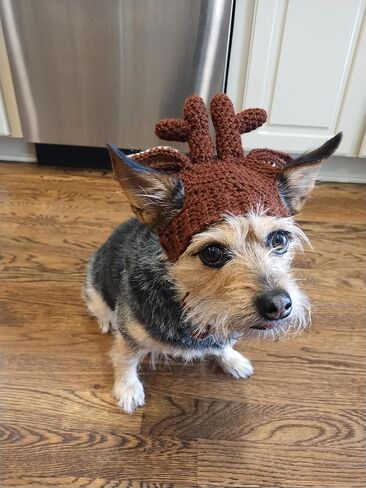 Crochet Reindeer Dog Hat with Braids for Christimas (M 14-16 inches) in Saudi Arabia