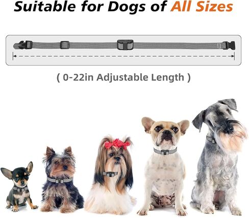 Tiniest Dog Shock Collar, Lightest Dog Training Collar with Remote for Small Dogs 5-15lbs & Medium Large Dogs/Puppies, Waterproof, Rechargeable, 1300ft Range (Orange&Ultra Tiny) in Kuwait