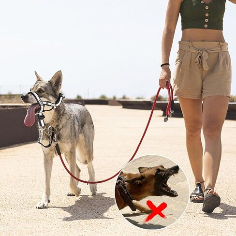 Dog No Pull Head Collar, Dog Over The Nose Leash Adjustable Head Halter Anti-Pull Muzzle Leash Nose Strap for Easy to Control When Walking (Size S) in Saudi Arabia
