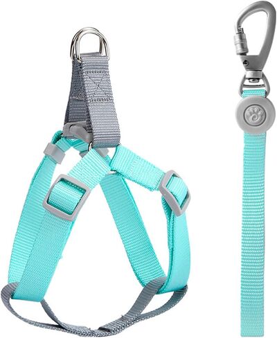 Dog Leash Nylon Adjustable Pet Halter Harness in Saudi Arabia