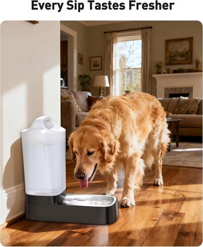 Automatic Dog Water Bowl Dispenser - 2.4 Gallon Stainless Steel Gravity Pet Water Feeder with Ergonomic Handle Design Anti Splash Drinking Bowl Without Filter Easy to Clean Multi Pet Use in Saudi Arabia
