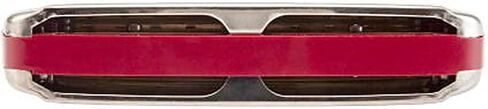 Hohner Golden Melody Harmonica - Key of C Bundle with Zip Case, Instructional Manual, and Austin Bazaar Polishing Cloth in Kuwait