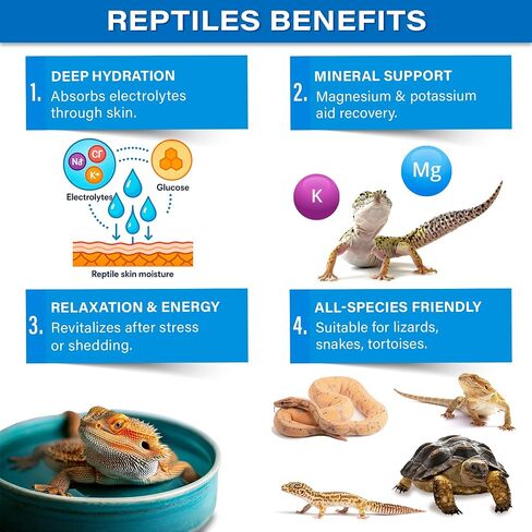 Premium ReptiSoak Electrolytes SOAK for Reptiles | Hydration & Recovery Bath Powder for Bearded Dragons, Geckos, Lizards, Tortoises | Electrolyte Reptile Supplement | Made in USA. Enjoy! in Saudi Arabia