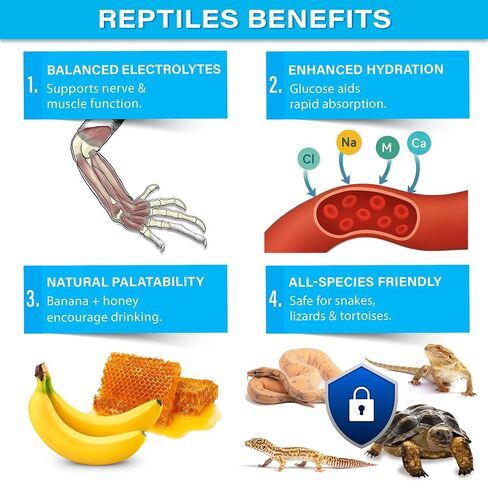 Premium ReptiSoak Electrolytes SOAK for Reptiles | Hydration & Recovery Bath Powder for Bearded Dragons, Geckos, Lizards, Tortoises | Electrolyte Reptile Supplement | Made in USA. Enjoy! in Saudi Arabia