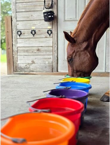 Low Calorie Hydration, Feed Topper & Treat | Safe, NO Electrolyte/Salt for Daily Intake | No Sugar Added (15g of Each of Six Flavors, 6 Pack Sampler) in Saudi Arabia