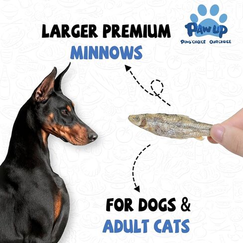 PAWUP Freeze Dried Minnows Dogs Treats – 100% Raw Single-Ingredient Pet Fish Snacks – Rich in Omega-3, Grain-Free – Healthy Training Rewards & Meal Toppers, 2.8 oz in Saudi Arabia