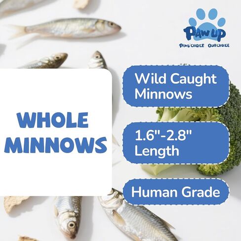 PAWUP Freeze Dried Minnows Dogs Treats – 100% Raw Single-Ingredient Pet Fish Snacks – Rich in Omega-3, Grain-Free – Healthy Training Rewards & Meal Toppers, 2.8 oz in Saudi Arabia